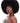 Afro Curl Wig | Human Hair Short Curly Wigs For Black Women I Frosted Colors NOBLE