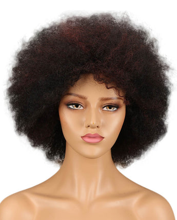 Noble 14 Inch Afro Curl Wig Human Hair Frosted Colors Human Hair Wig